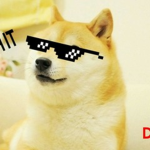 Doges MLG
