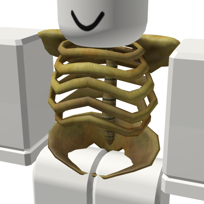 Skeleton Torso Roblox NoFilter