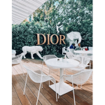 Dior’s Fammm