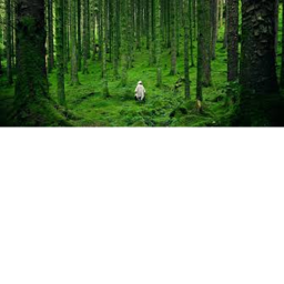 Normal nature