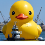 rubber duckie group