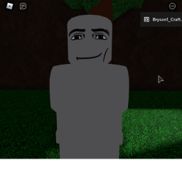 the no armed man