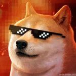 DOGE is the best :D