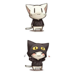 Cat training