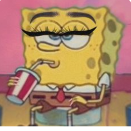 🧽