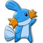 TeamMudkip