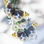 Butterfly’s and nature