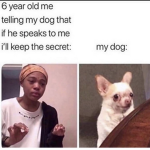 XxDiamondzxX