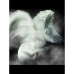 Wolf~Chan