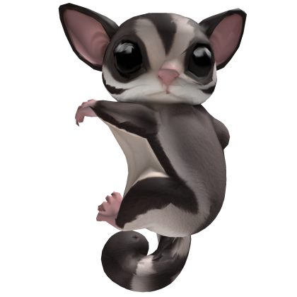 Sugar Glider