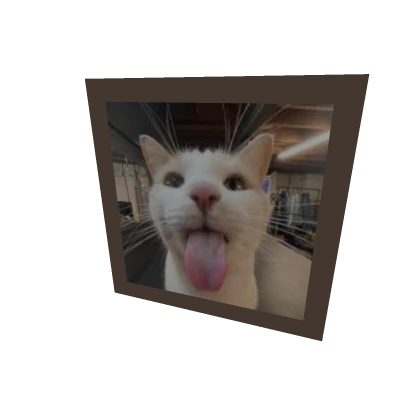 Silly picture