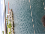 Tyuleu