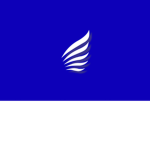 fly VLM