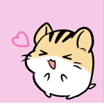 ~はむちゃのお部屋~