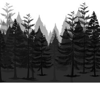Scary forest