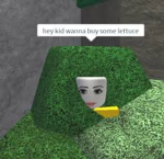 The unnormal group beta