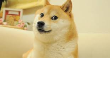 Some TBB Fighting game