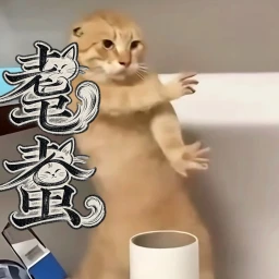 BadCats RolePlay icon