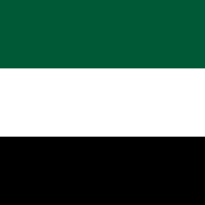 Panjshir Flag of the Northern Alliance Roblox decal