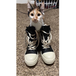 ̃swag