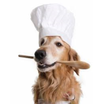 The doggie kitchen