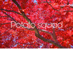 Potato squadddly
