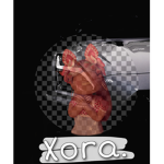 Xora TopModel