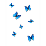 Blue butterflies assembly