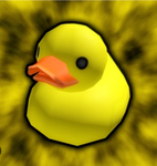 Daily duck studios