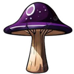 Shroonz Incorporated