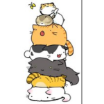 Kitties Boutiques