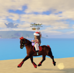 - Kentucky Horse Academy Applications -