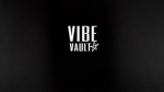 TheVibeVault