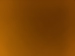 GLI AMICI PANDA Group Thumbnail