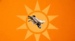 The Ferret Faction