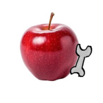 Warm Red Apple Studio