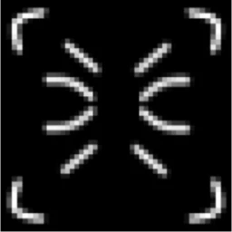 Parasitic icon