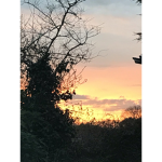 sunset designer