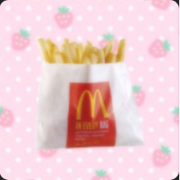 (´・ω・) 🎀🍟🐾 ☆