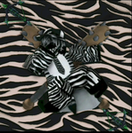 Hacerzebras Hangout