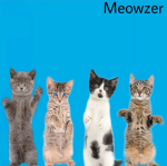 popcat clan