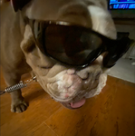 gusgus24