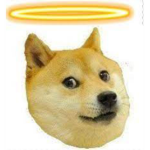 Angel doges