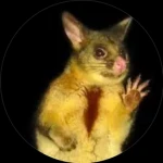 sᴡᴇᴇᴢᴇʏ Group Thumbnail