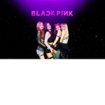 Blackpink fans offical group