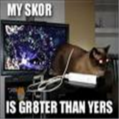 funny cat LOL Roblox decal