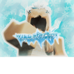 WildSplash Waterpark