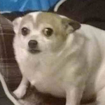 börk