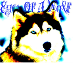 Eyes of a Wolf