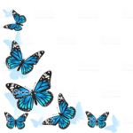 Lovely butterflies xo